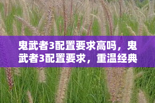 鬼武者3配置要求高吗，鬼武者3配置要求，重温经典游戏的硬件门槛
