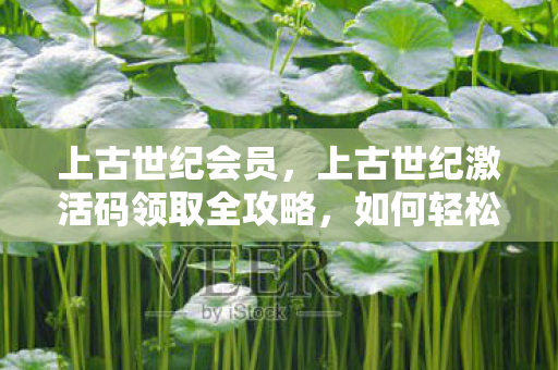 上古世纪会员，上古世纪激活码领取全攻略，如何轻松获取珍贵游戏礼包？