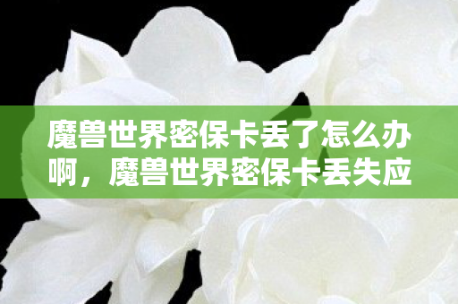 魔兽世界密保卡丢了怎么办啊，魔兽世界密保卡丢失应急处理指南