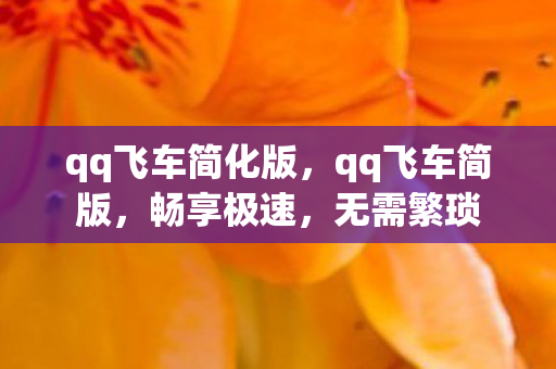 qq飞车简化版，qq飞车简版，畅享极速，无需繁琐