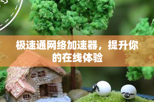 极速通网络加速器，提升你的在线体验