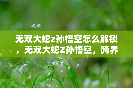 无双大蛇z孙悟空怎么解锁，无双大蛇Z孙悟空，跨界融合，重塑经典