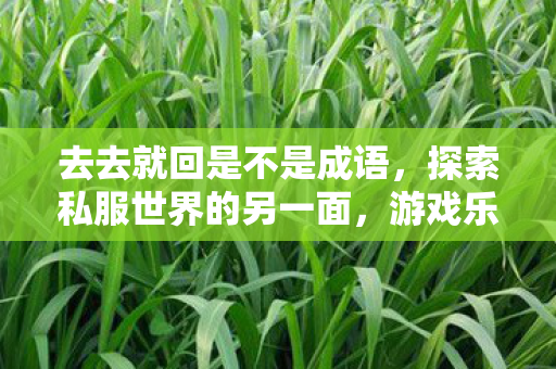 去去就回是不是成语，探索私服世界的另一面，游戏乐趣与社区文化的独特魅力