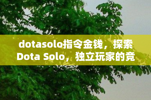 dotasolo指令金钱，探索Dota Solo，独立玩家的竞技之旅