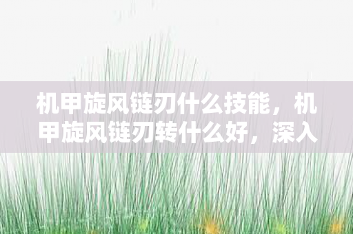 机甲旋风链刃什么技能，机甲旋风链刃转什么好，深入解析与职业推荐