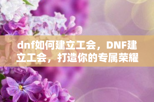 dnf如何建立工会，DNF建立工会，打造你的专属荣耀殿堂