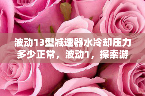 波动13型减速器水冷却压力多少正常，波动1，探索游戏世界的无限可能
