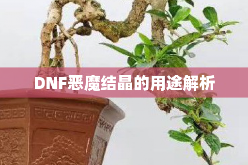 DNF恶魔结晶的用途解析