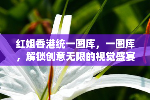 红姐香港统一图库，一图库，解锁创意无限的视觉盛宴