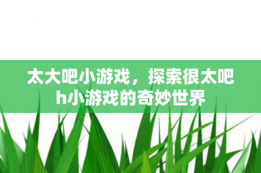 太大吧小游戏，探索很太吧h小游戏的奇妙世界