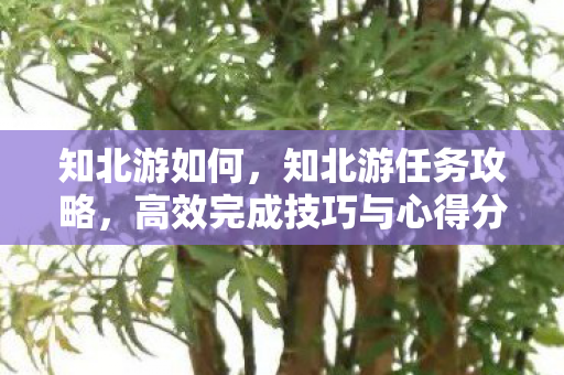 知北游如何，知北游任务攻略，高效完成技巧与心得分享