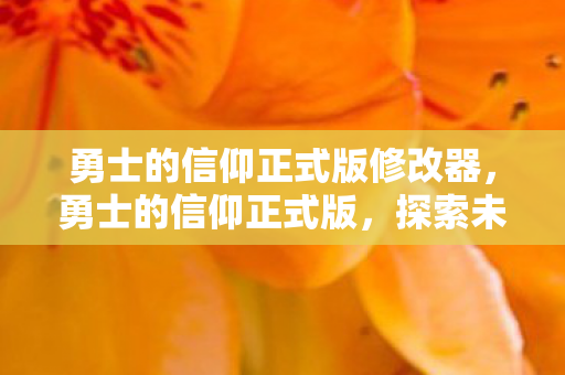 勇士的信仰正式版修改器，勇士的信仰正式版，探索未知世界的勇者之旅