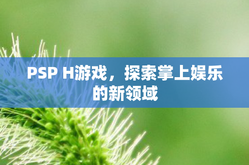 PSP H游戏，探索掌上娱乐的新领域