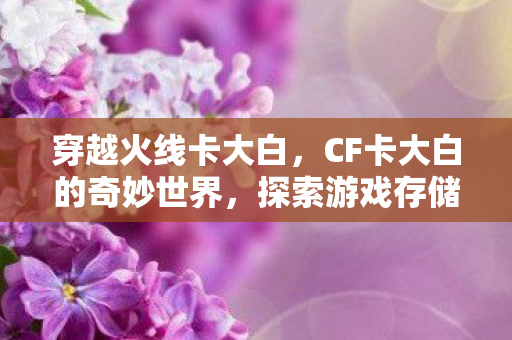 穿越火线卡大白，CF卡大白的奇妙世界，探索游戏存储的奥秘