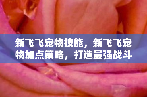 新飞飞宠物技能，新飞飞宠物加点策略，打造最强战斗伙伴
