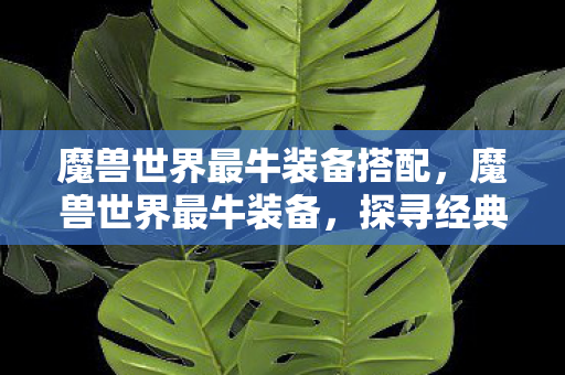 魔兽世界最牛装备搭配，魔兽世界最牛装备，探寻经典装备的魅力