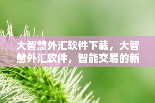 大智慧外汇软件下载，大智慧外汇软件，智能交易的新篇章