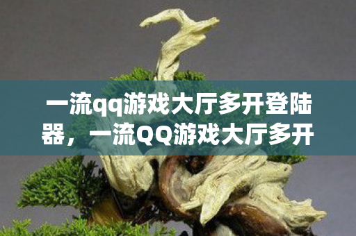 一流qq游戏大厅多开登陆器，一流QQ游戏大厅多开，提升游戏体验的必备利器