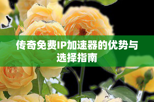 传奇免费IP加速器的优势与选择指南