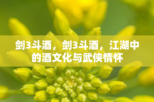 剑3斗酒，剑3斗酒，江湖中的酒文化与武侠情怀