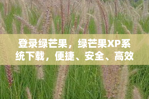 登录绿芒果，绿芒果XP系统下载，便捷、安全、高效的操作系统选择