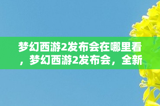 梦幻西游2发布会在哪里看，梦幻西游2发布会，全新游戏体验，引领玩家进入奇幻世界
