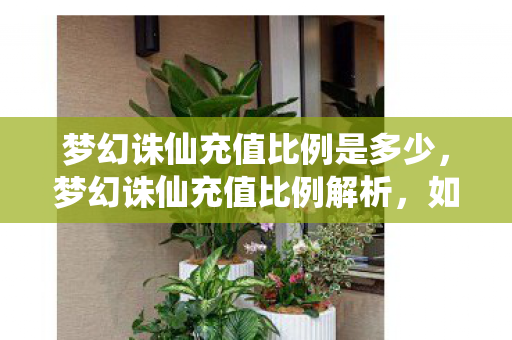 梦幻诛仙充值比例是多少，梦幻诛仙充值比例解析，如何更划算地享受游戏乐趣