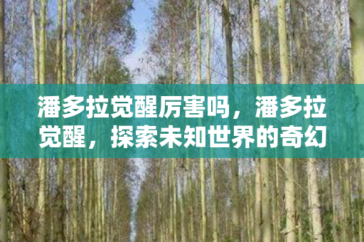 潘多拉觉醒厉害吗，潘多拉觉醒，探索未知世界的奇幻之旅