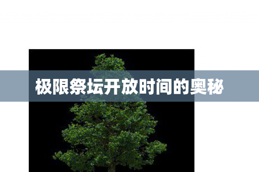 极限祭坛开放时间的奥秘
