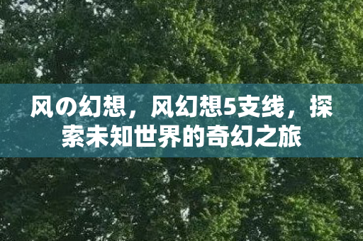 风の幻想，风幻想5支线，探索未知世界的奇幻之旅