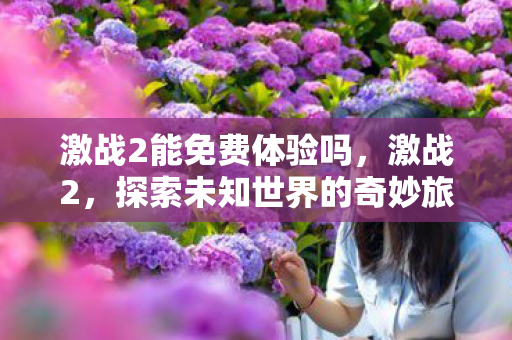 激战2能免费体验吗，激战2，探索未知世界的奇妙旅程