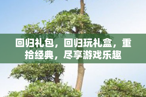 回归礼包，回归玩礼盒，重拾经典，尽享游戏乐趣