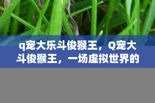 q宠大乐斗俊猴王，Q宠大斗俊猴王，一场虚拟世界的欢乐盛宴