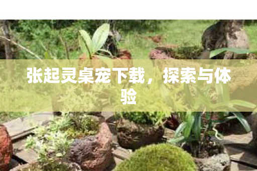 张起灵桌宠下载，探索与体验