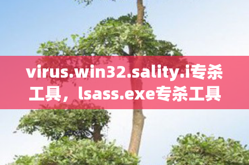 virus.win32.sality.i专杀工具，lsass.exe专杀工具，守护系统安全的利器