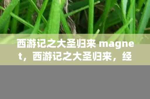 西游记之大圣归来 magnet，西游记之大圣归来，经典与创新的碰撞