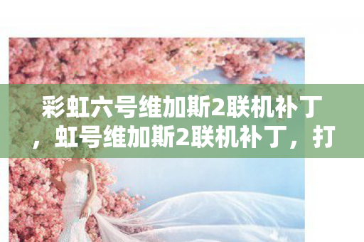 彩虹六号维加斯2联机补丁，虹号维加斯2联机补丁，打造流畅游戏体验的必备神器