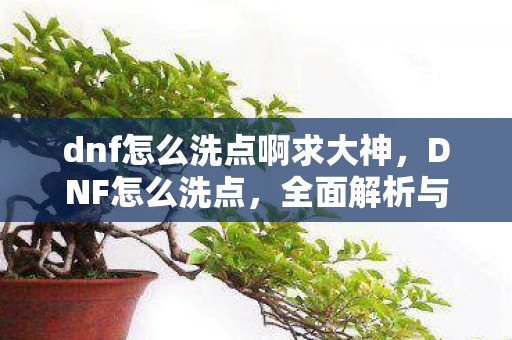 dnf怎么洗点啊求大神，DNF怎么洗点，全面解析与实用技巧