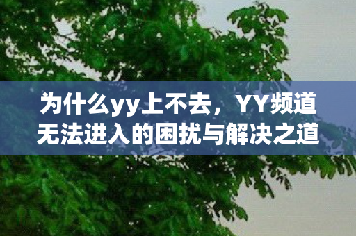 为什么yy上不去，YY频道无法进入的困扰与解决之道