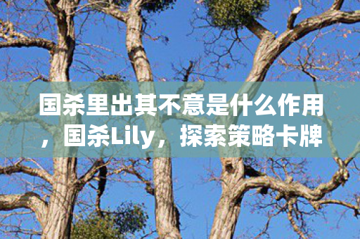 国杀里出其不意是什么作用，国杀Lily，探索策略卡牌游戏的魅力与深度