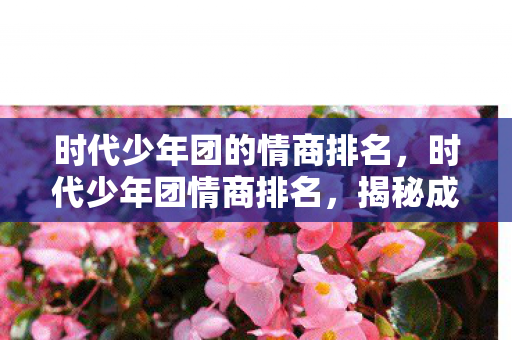 时代少年团的情商排名，时代少年团情商排名，揭秘成员间的情感智慧与人际交往能力