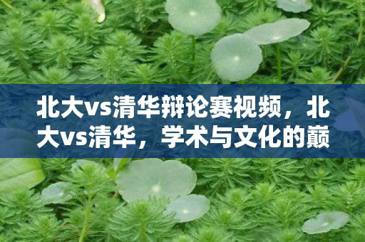 北大vs清华辩论赛视频，北大vs清华，学术与文化的巅峰对决