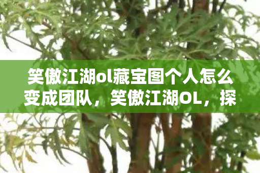 笑傲江湖ol藏宝图个人怎么变成团队，笑傲江湖OL，探寻神秘藏宝图的奇幻之旅