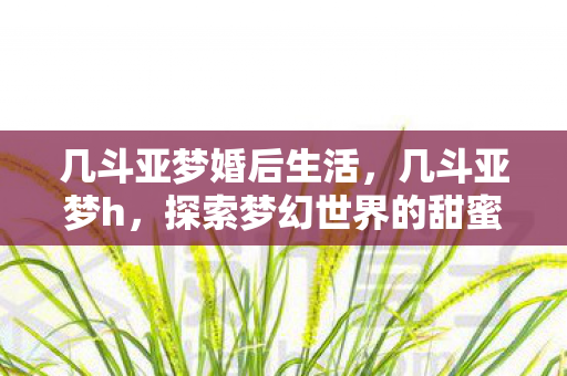 几斗亚梦婚后生活，几斗亚梦h，探索梦幻世界的甜蜜冒险