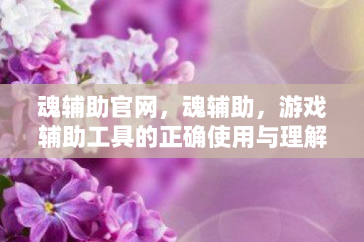魂辅助官网，魂辅助，游戏辅助工具的正确使用与理解