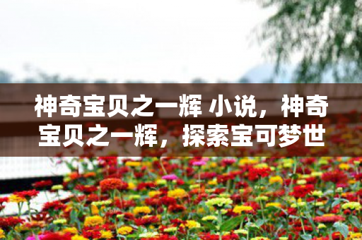 神奇宝贝之一辉 小说，神奇宝贝之一辉，探索宝可梦世界的璀璨之星