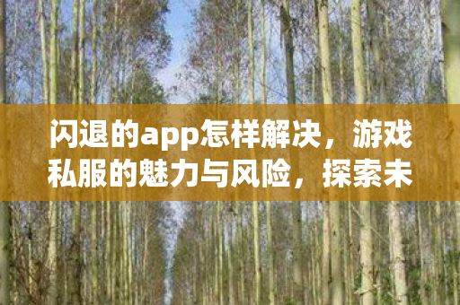 闪退的app怎样解决，游戏私服的魅力与风险，探索未知世界的双刃剑