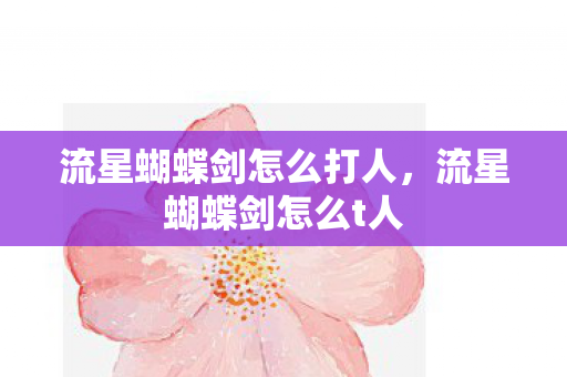 流星蝴蝶剑怎么打人，流星蝴蝶剑怎么t人