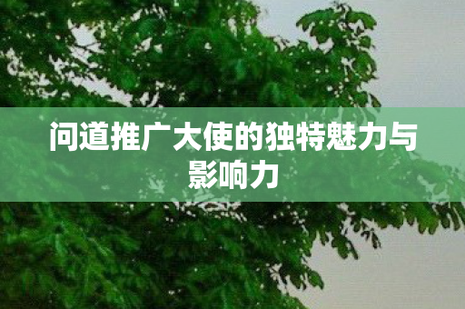 问道推广大使的独特魅力与影响力