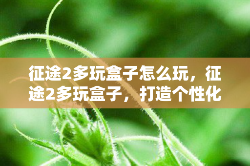 征途2多玩盒子怎么玩，征途2多玩盒子，打造个性化游戏体验的必备神器